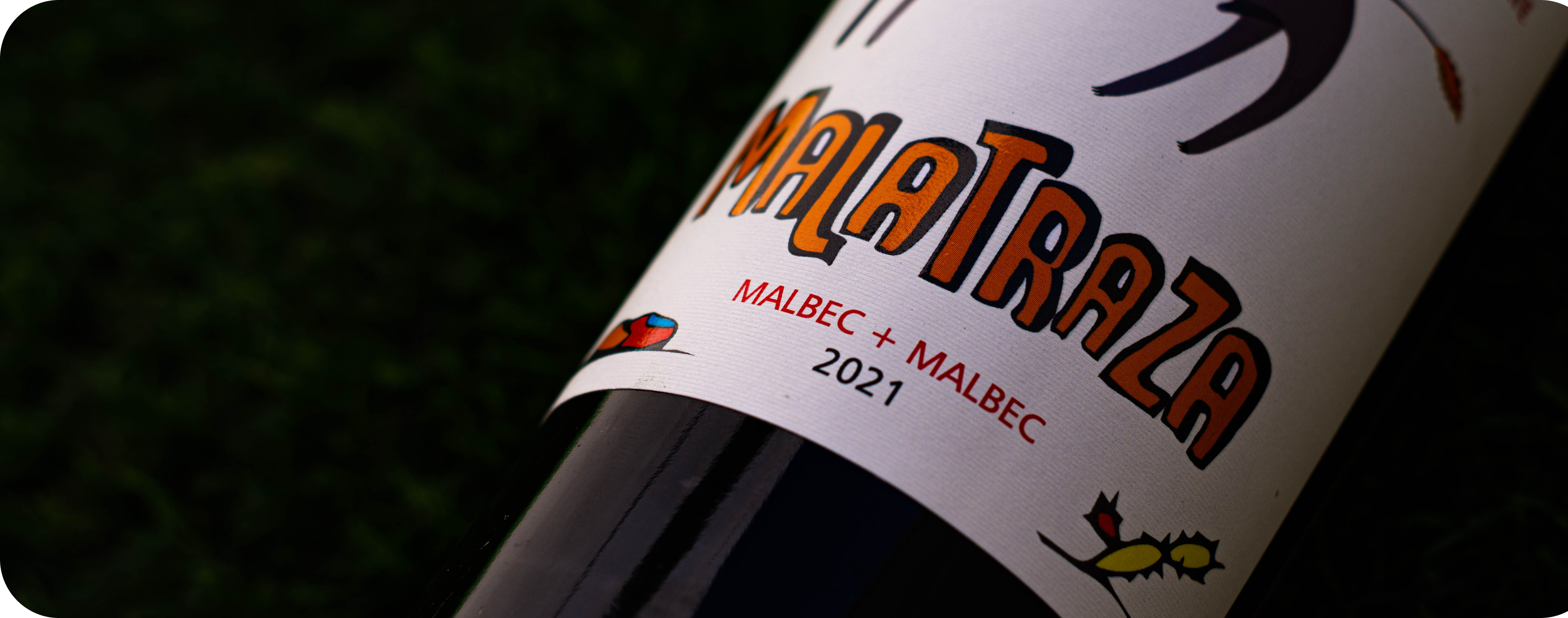 Wine Not - Concepts, Styles and Premium Elegance 2